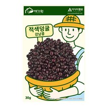 아시아종묘/콩씨앗종자 적색덩굴 강낭콩 (30g)