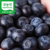 친환경 국내산 무농약 냉동 햇블루베리(500g*2개_무선별)~~SALE!!, 2개