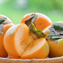 [지구다움]일년에 딱한번!!! 10월까지만 맛볼수 있는 아삭하고 달콤한 풍미가 일품 태추단감 푸른단감 배단감 2키로(9개내외) 3키로(13개내외) 5키로(22개내외), 22개내외(5키로), 1개