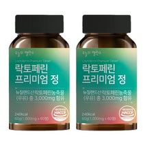 오늘의밸런스 락토페린 프리미엄 정, 60정, 2개