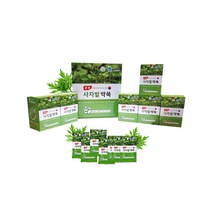 뷰티캐슬 강화사자발약쑥 국내 유일 해썹인증 강화섬쑥 강화쑥 강화사자발약쑥 쑥즙 100% 국산 사자발 쑥, 1box, 60개 70ml