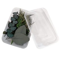 수동리프트 1톤 호이스트 지렛대 다채로운 말린 꽃 및 잎 재료 DIY 예술 공예 에폭시 양초 만들기 보석 웨, 4D