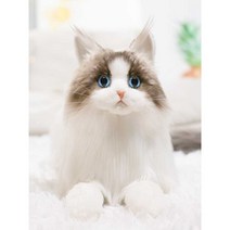 렉돌 고양이 인형 진짜같은 귀여운 소품 동물 고퀄, 노란 활 24x38