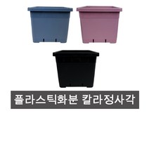 화분백화점 칼라 플라스틱 사각화분 가벼운 저렴한 SG사각분, (SG)사각분21호(블루)