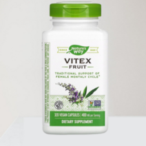 네이처스웨이 바이텍스 프루트 320캡슐 400mg