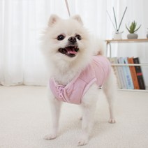 루비디 웨이브 하네스 강아지패딩, 라벤더