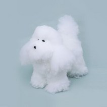 [탑독] 전체털(펫클립) 모량많음 위그 애견미용 강아지 위그털 도그위그 시험 자격증