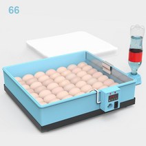 닭 사육 자동 인큐베이터 20-66 계란 인큐베이터 치킨 거위 오리 메추라기 비둘기, 계란 66개