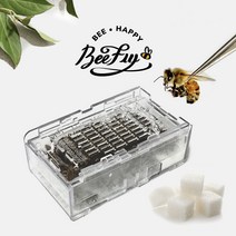 비플라이 건강한 꿀벌 벌침 벌침벌 봉침 봉침벌 벌침용벌 먹이 서비스, 1통, 150~180마리