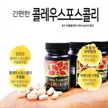 콜레우스포스콜리 추출물 600mg X 60정, 1통, 600mg+60정