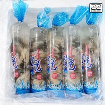 통영굴 제철 횟감용 생굴 삼배체굴 석화 각굴 하프셀 봉지굴 통영 직송, 봉지굴120*5