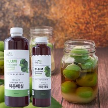 순수발효 임산부매실액 하동 매실청 매실차, 쏘울메이드 하동 매실원액 900ml 2병