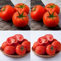 이지리치 완숙 토마토 2.5KG 2번 토마토요리 토마토주스효능