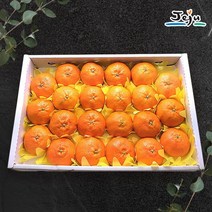 인정에프앤비 올찬 레드향 선물세트왕특대/특대 5kg13-23과 / 제주직송 165452
