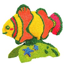 컬러룬 볼클레이 물고기 크라운피쉬, 3개