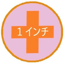 스케이트보드 WalnutSkate 스케보 플러스 비스 너트 세트 전체 9 색 고강도 방청 코팅 스틸 하드웨어 멀티 컬러 스케이트 보드 롱 보드 서핑 스케이트 페니 크루저 갑판 트럭, 1인치 오렌지