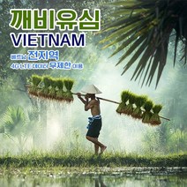 깨비유심 다낭 하노이 나트랑 베트남 전지역 4G LTE 데이터 8일 이용 유심 출국전 불량 유심 확인 가능 (4362646), 김해 공항 수령