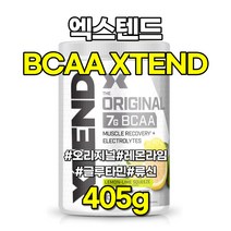 엑스텐드 BCAA XTEND 오리지널 레몬라임 글루타민 류신 30서빙 405g