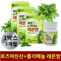 로즈마린산 레몬밤 잎 고농축100% 정 아침 편안 상쾌 가볍게 씹어먹는 허브향 간편섭취 운동중 운동 전 후 식사 전 후 잠자기전 편안한 릴렉스 휴식 기름진음식후 수험생 청소년