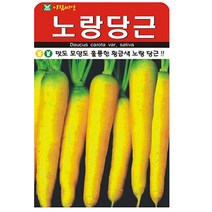 노랑 당근씨앗 500립, 단품
