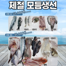 남해바다 제철 손질 모듬생선 산지직송 딱돔 가자미 병어 반건조아귀 봄도다리 등, 2~3종류