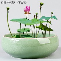 연꽃 수반 도자기 실내 연못 미니 정원 발코니 거실, 대형 그린크랙수 화분