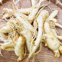 후금이네 싱싱한 인삼 수삼 세척 파삼 막삼 못난이삼 (300g)