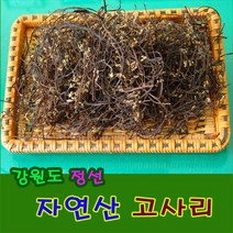 고사리/100g/자연산 고사리/건조 고사리/강원도 정선