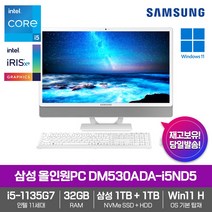 삼성 올인원PC DM530ADA-i5ND5 [Win11+i5-1135G7+RAM 32GB+삼성NVMeSSD 1TB+HDD 1TB] 직장인 학생용 일체형PC
