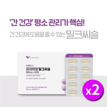 알코올성 비알코올성 간 간수치 ALT AST 건강 이 안좋을때 아플때 관리 개선 에 좋은 미국산 활력 프리미엄 밀크씨슬 영양제 영양재, 2BOX(1년분)