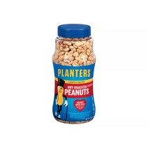 플랜터스 드라이 로스티드 땅콩 라이틀리 솔티드, 453g, 1개