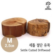 세틀 절단 유목 S 1, 1개