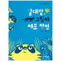 [주니어김영사] 갈대밭 그림자 체포 작전
