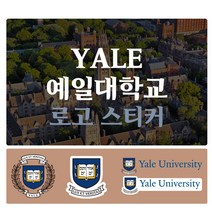 예일대학교 Yale University 로고 포인트 스티커 데칼 스킨, 3번(중형-투명)