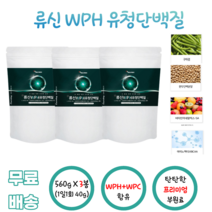 류신 WPH 유청단백질 560g 아미노액티브BCAA 비타민미네랄믹스 SA L로이신 완두단백분말 WPC 류신 구아검 HH 에이치에이치 수크랄로스 남녀노소 운동인 단백질분말 부담없는, 3봉