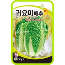 귀요미배추 씨앗 300립 쌈배추 씨 미니 알배추 종자 김장채소, 1개