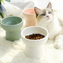 멍해묘해 강아지 밥그릇 고양이 물그릇 수반 도자기 세라믹 애견 식기 매트, 1개, 높은식기+블랙