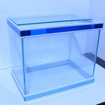 고피쉬 고기방 명품어항 [청경] 30Cm 수족관, 청경