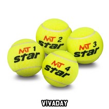 MY 스타 메이저투어 테니스공2개 한세트테니스 클럽테니스 연습 홈트레이닝 홈트 운동 셔틀콕
