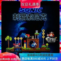 호환블럭 크리 에이 티브 시리즈 21331 소닉 고슴도치 교육 빌딩 블록 과 를위한 장난감 선물, 소닉 더 헤지혹