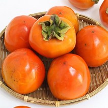 참다른 국내산 대봉감 5kg 13과 내외, 1개