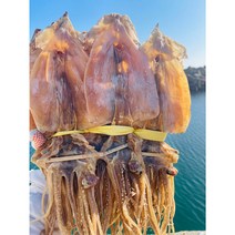 [즉석버터구이오징어] 동해안 건조 마른 오징어 1kg (20미) 당일배송