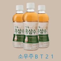 헛개홍삼수 340mlX40펫-홍삼차/헛개차, 정관장 헛개홍삼수 340mlX40펫-