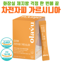뉴트리커먼 오라뷰 차전자피 가르시니아, 30포, 1개