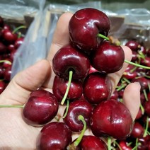 초달달 좋은체리 로얄 생체리 칠레 미국, 1kg, 대(9.5R/28mm)