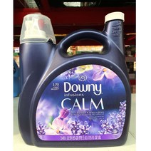 다우니 인퓨전 캄 3.4L