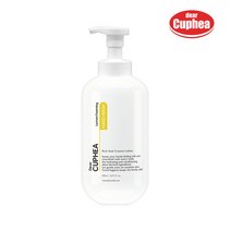 디어 쿠페아 포밍 레몬 핸드워시 500ml x1개 손세정제 손소독제 답례품 선물 비누 친환경 물비누, 단품