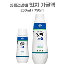동화약품 잇치 가글 무알콜 입냄새 구취 제거 구강청결제 잇몸관리 가글액 250ml 750ml, 잇치 가글액250ml