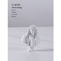 북유럽 문예의 빈티지 스케치 소두상 장식 미니 수지 석고상 장식 모델 하우스 장식, 미니 Moliere