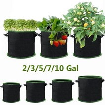 가게오픈화분 꽃잔디씨앗 여름꽃모종 국화모종 딸기 야채, 블랙 1pc, 10갤런(39리터)